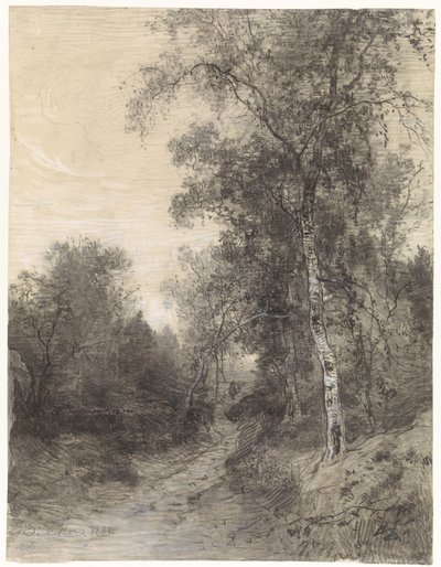 View in the Forest by Johannes Warnardus Bilders
